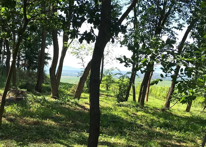 Kesa Fahaz Balatonlelle